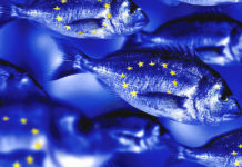 Europe’s liquidity rules are holding up… for now