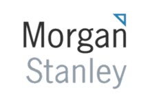 Insights and analysis: Morgan Stanley 2025 – ‘Timing Is Everything’ across asset classes