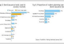 Will primary market tools fragment new issuance instead of standardising it?