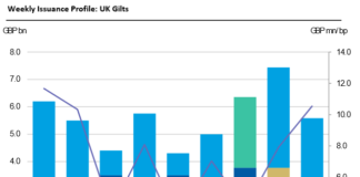 Barnes on Bonds: Primary Gilt Trip