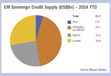 Morgan Stanley: EM issuance in 2024 to outstrip 2023