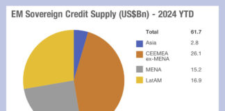 Morgan Stanley: EM issuance in 2024 to outstrip 2023