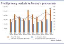 Retreat in credit market primary activity in January 2025, Munis a bright spot