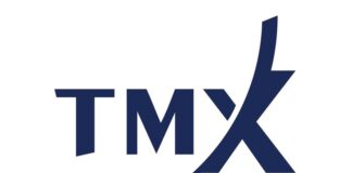 TMX Vettafi acquires Credit Suisse bond indices from UBS