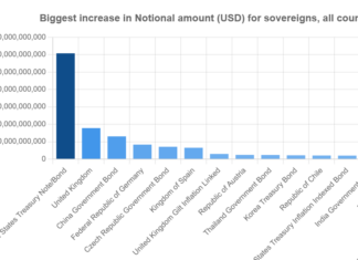 Origination: Will Germany support European debt mutualisation?