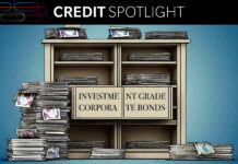 Rosy picture for credit dealers as they lower IR risk