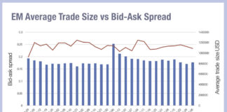 EM traders ride out the chaos