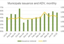 Insight & Analysis: Municipals’ primary and secondary markets hit records