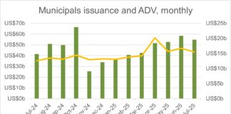 Insight & Analysis: Municipals’ primary and secondary markets hit records