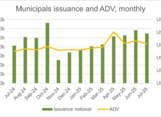 Insight & Analysis: Municipals’ primary and secondary markets hit records