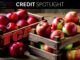 Cross-asset TCA is viable in credit markets Cross-asset TCA is viable in credit markets