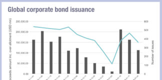 Big deals in January as UBS predicts record year for US issuance Big deals in January as UBS predicts record year for US issuance