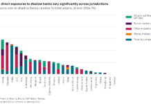 S&P says non-bank/bank nexus is top systemic risk