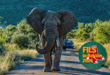 FILS US 2026: The biggest obstacle to improving your trading workflow FILS US 2026: The biggest obstacle to improving your trading workflow