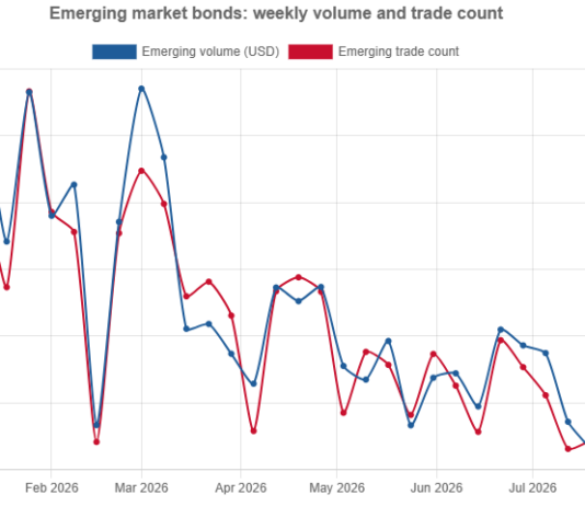 Emerging market bond liquidity erodes as trade counts fall sharply